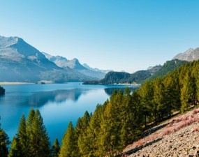 Engadin escorts
