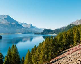 Engadin escorts